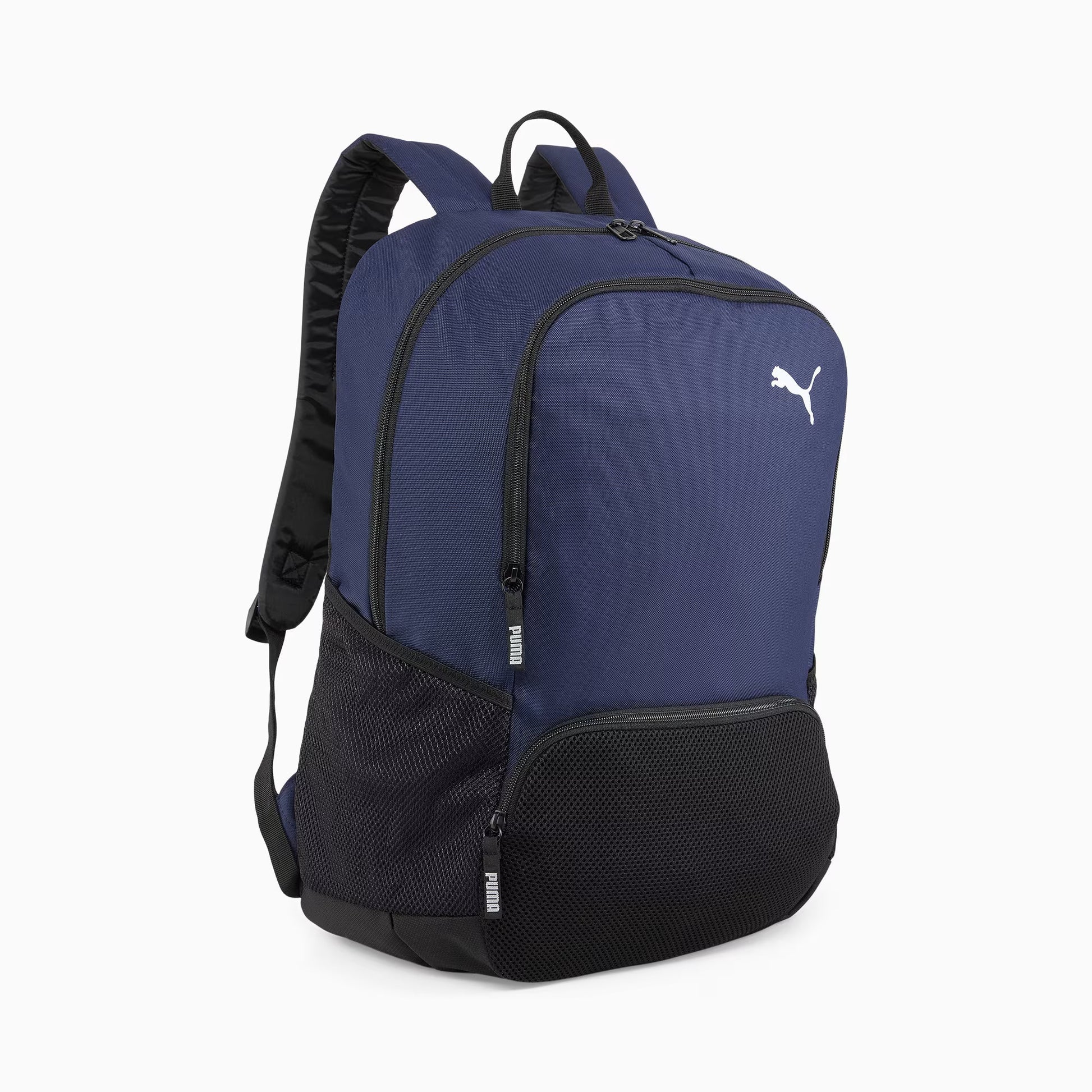 Puma teamGOAL Backpack Premium XL