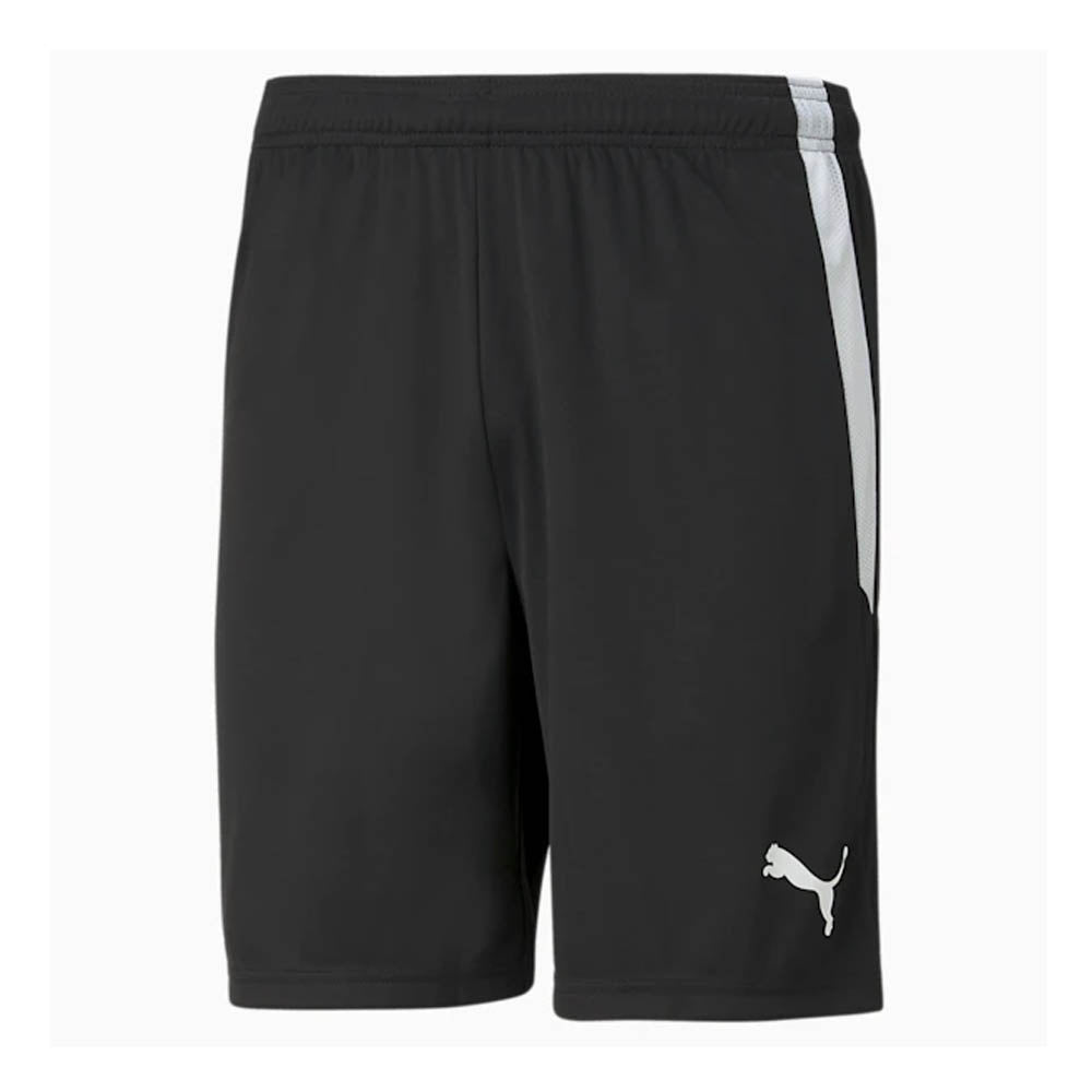 Puma TeamLiga Shorts (Black) - Adult