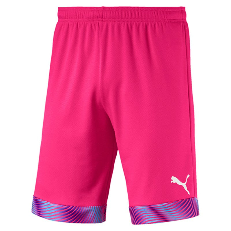Puma Cup GK Shorts - Adult