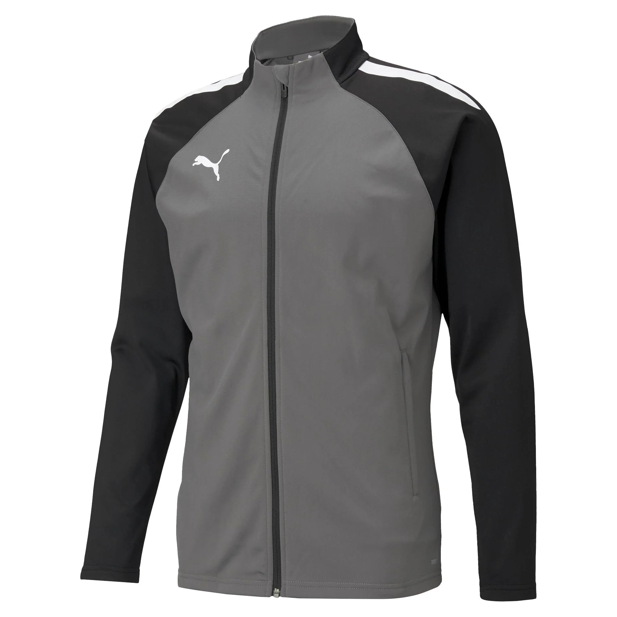 Puma Team Liga Training Jacket - Adult