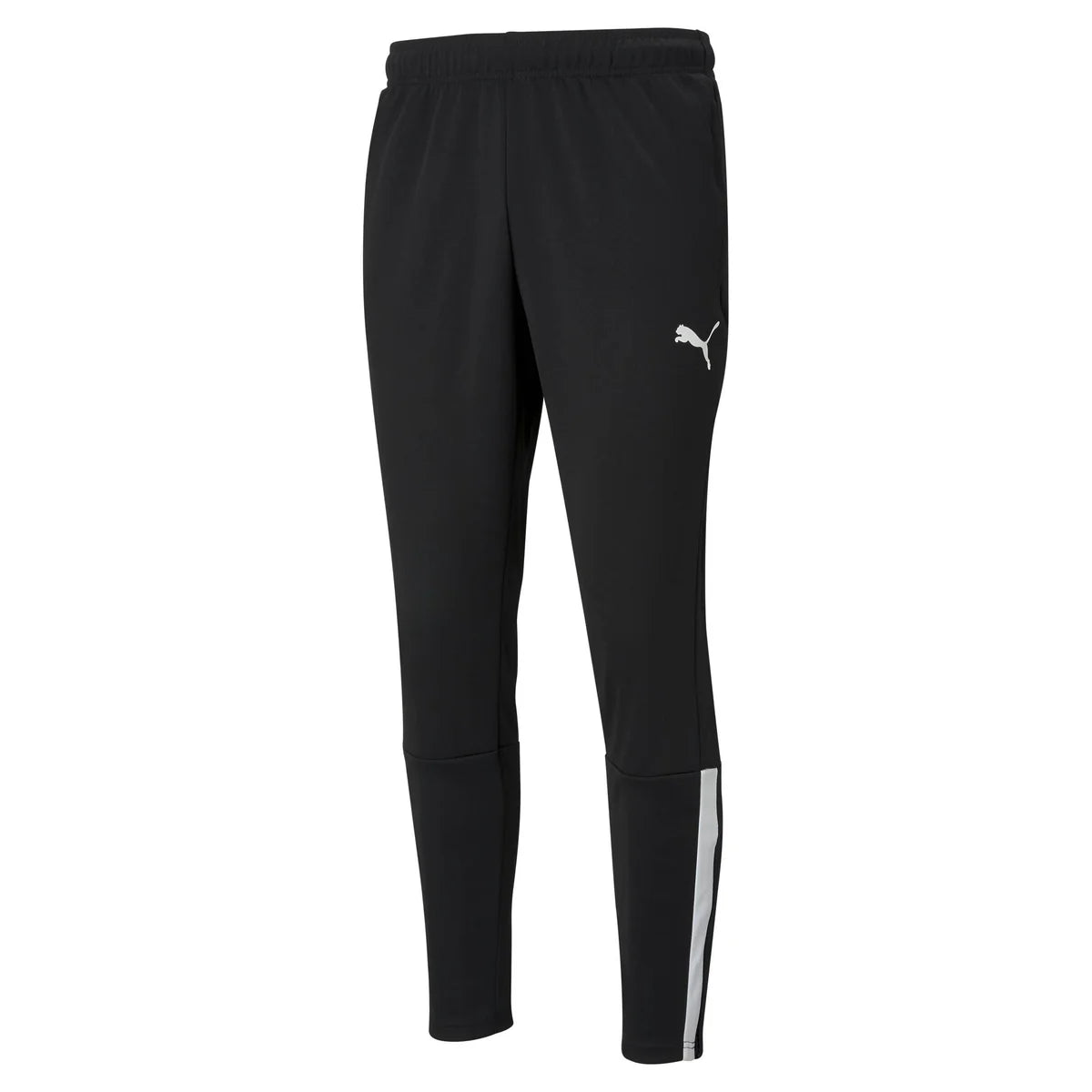 Puma Team Liga Training Pant - Youth