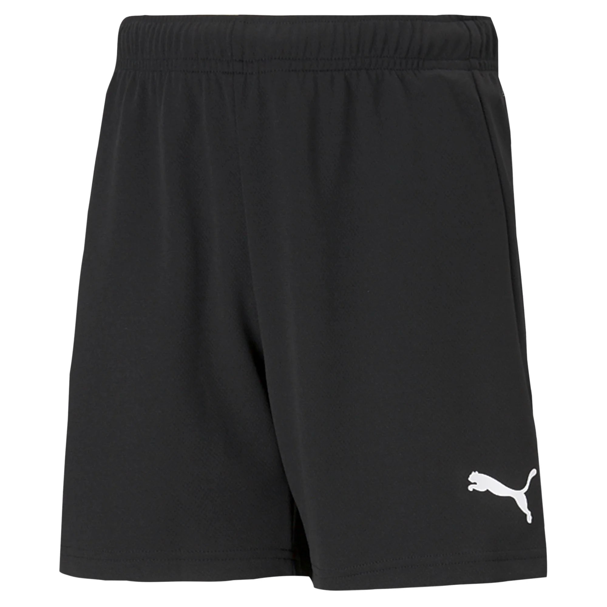 Puma Team Rise Shorts - Adult