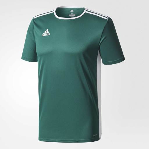 Adidas Entrada 18 Jersey - Youth