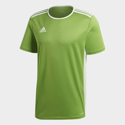 Adidas Entrada 18 Jersey - Youth