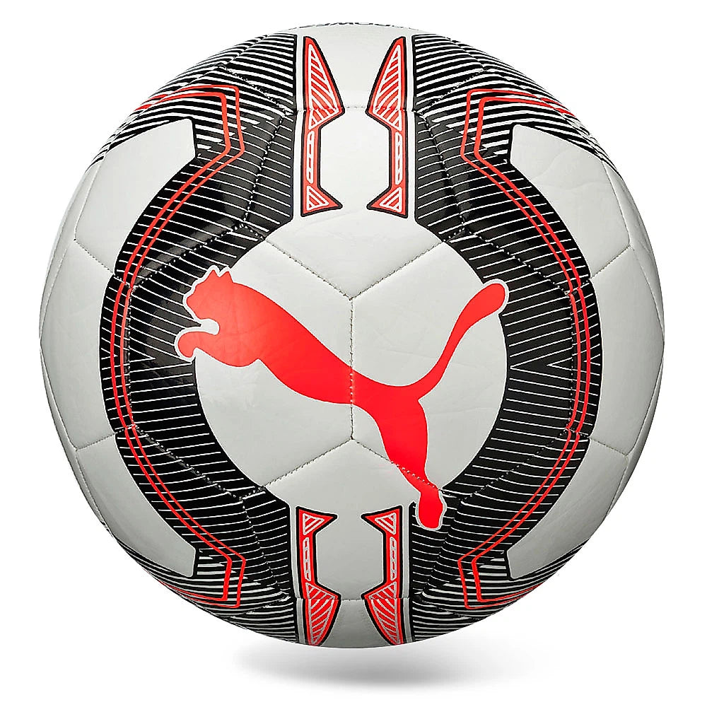 Puma Football evoPOWER 6.3 Trainer MS