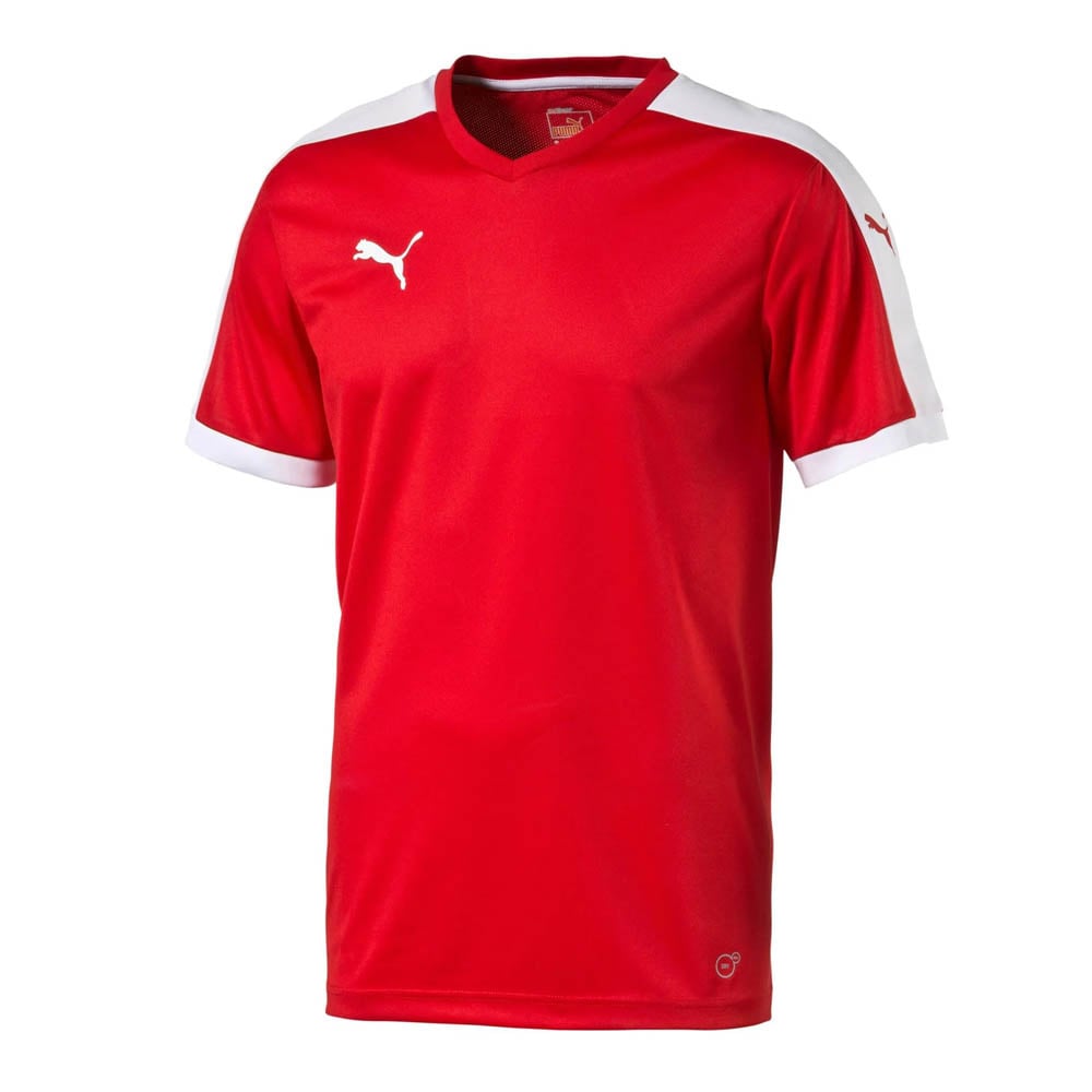 Puma Pitch Jersey (Red) - Youth