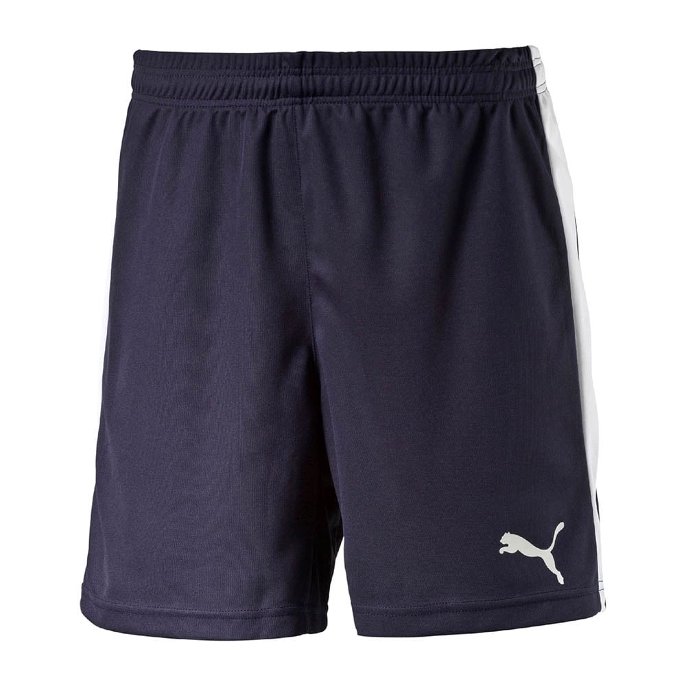 Puma Pitch Shorts (Navy Blue) - Adult