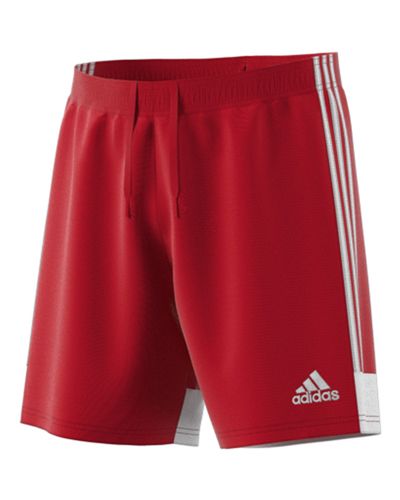 Adidas Tastigo 19 Shorts - Adult