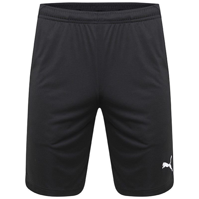 Puma Team Liga Training Shorts - Adult