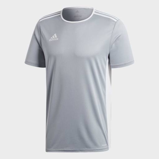 Adidas Entrada 18 Jersey - Youth