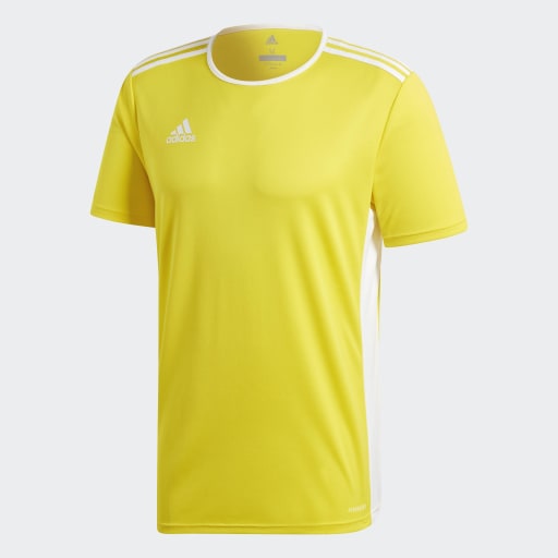 Adidas Entrada 18 Jersey - Youth