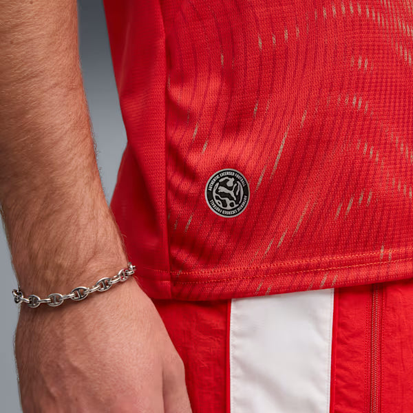 Puma Switzerland SFV 2026 Home Jersey - Adult